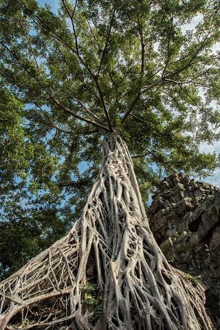 Resice_Taprohm