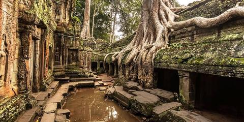 Ta_Prohm_Temple