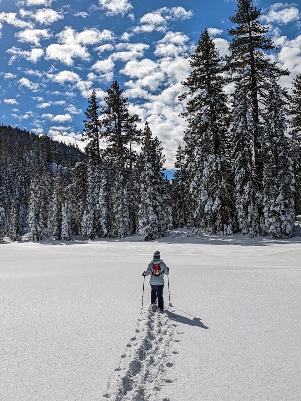 Pauly's Point Half Day Snowshoe Hike