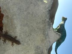 Exploring Natural History: An ENHM Field Research Experience