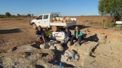 Digging up Megafauna