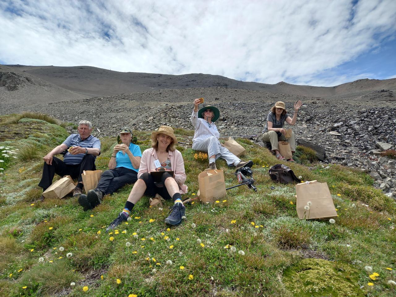 Snowdon, Amuri Alpine Flora Tour 