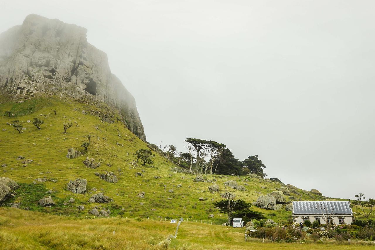 Chatham Islands Nature Tour