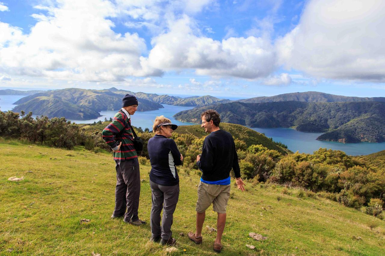 D'Urville Island - Driftwood Eco tours Reservations