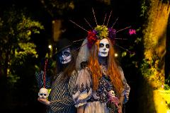 Halloween Night Tour 