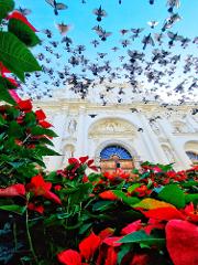 Enjoy Flower Festival in Antigua Guatemala 