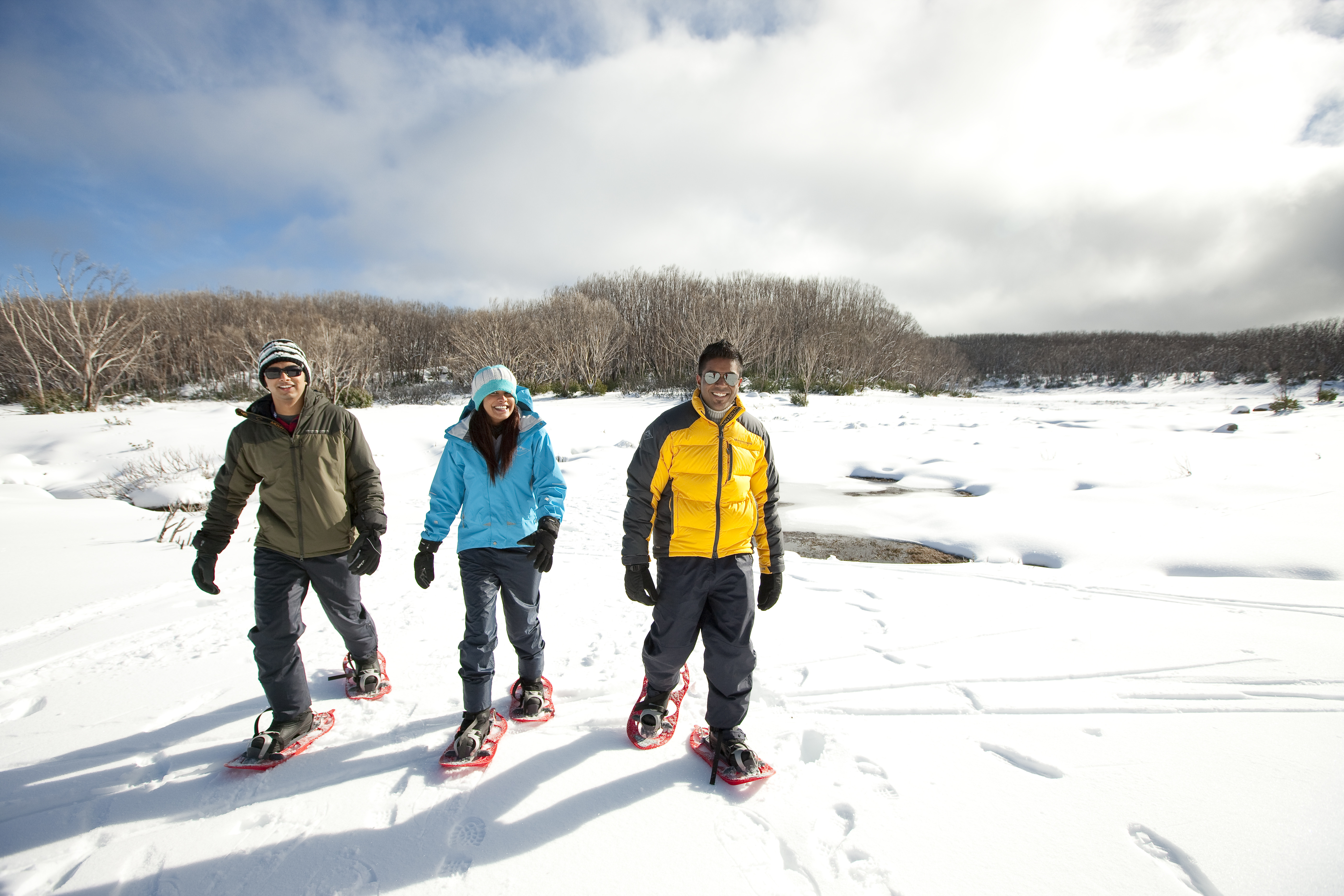 Lake Mountain Snow Play & Waterfalls Tour (CPickup)