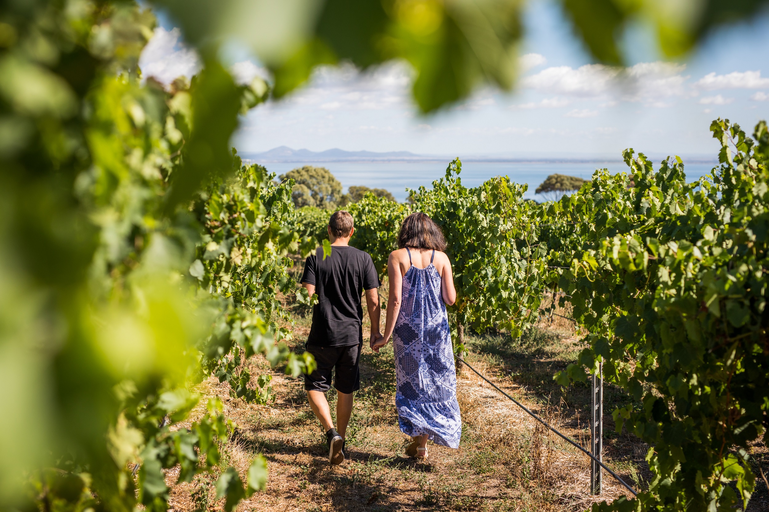 1-Day Bellarine Peninsula Food & Wine Taste Trail Tour