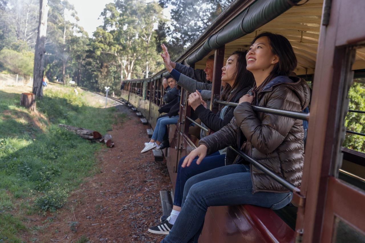 Puffing BIlly & Penguins Wildlife Tour