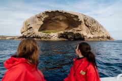 Explore Wilsons Promontory Ultimate Day Tour including Cruise