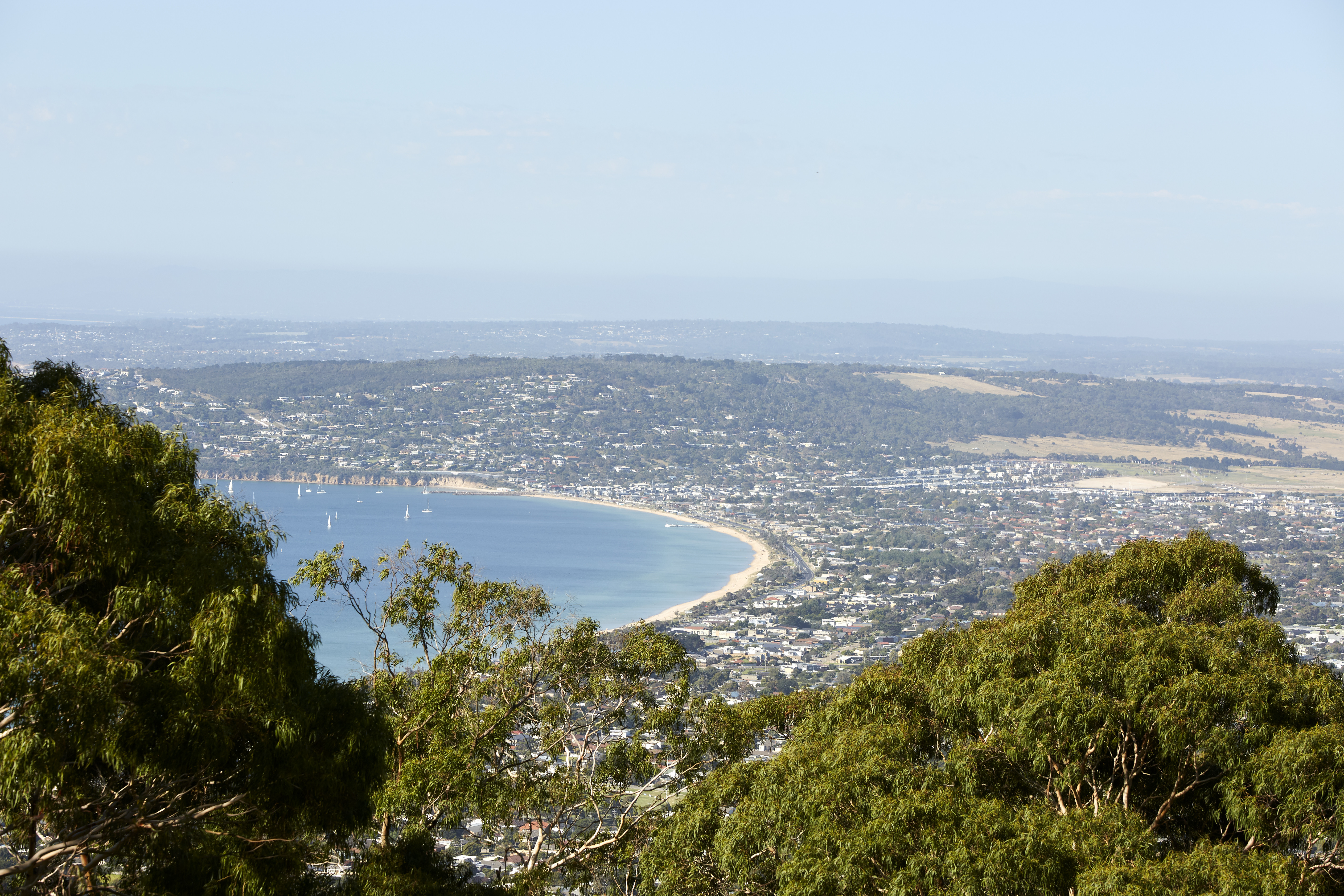 1-Day Mornington Peninsula Sightseeing and Bay Cruise