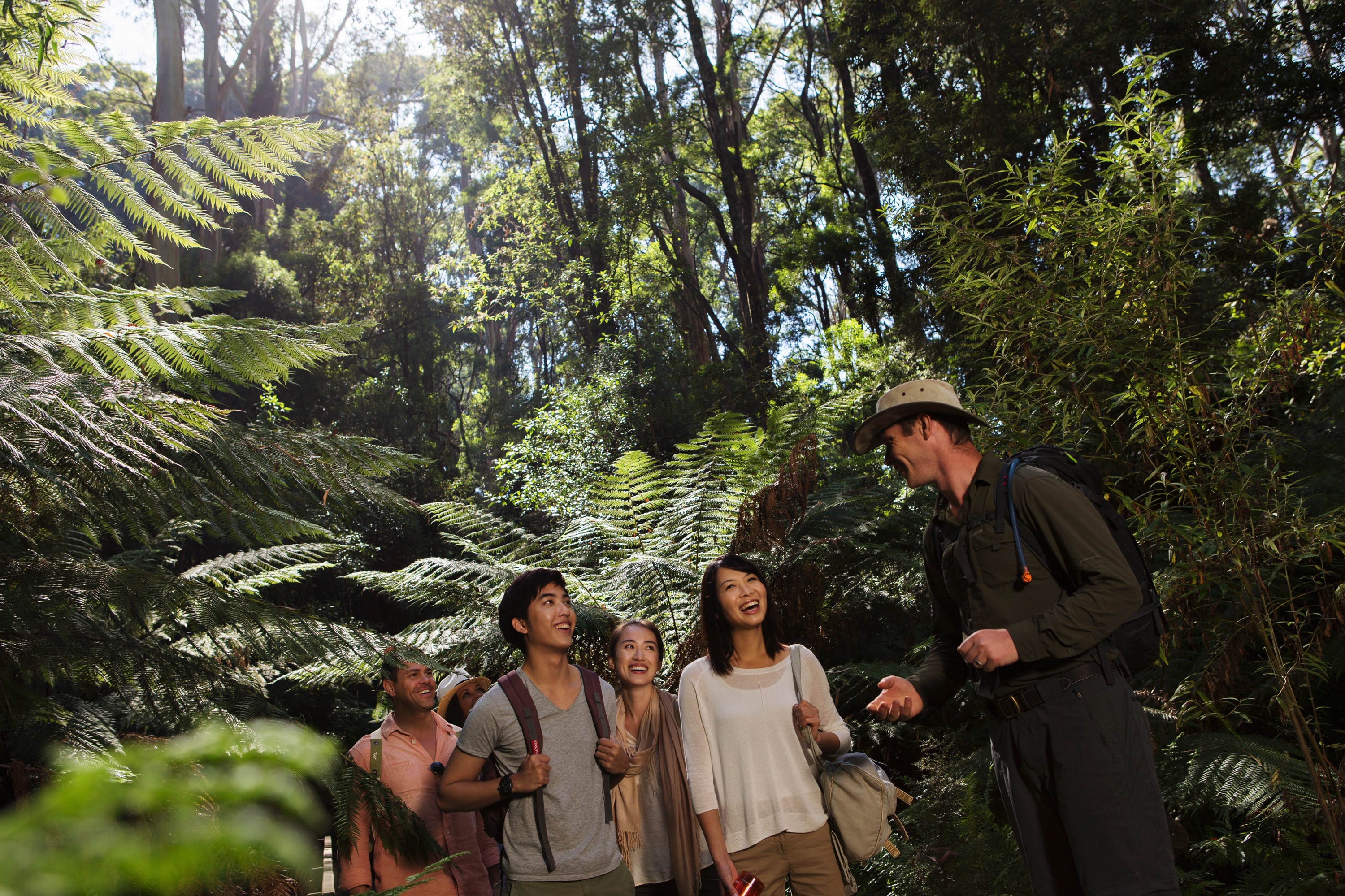 1-Day Explore Great Ocean Road & 12 Apostles