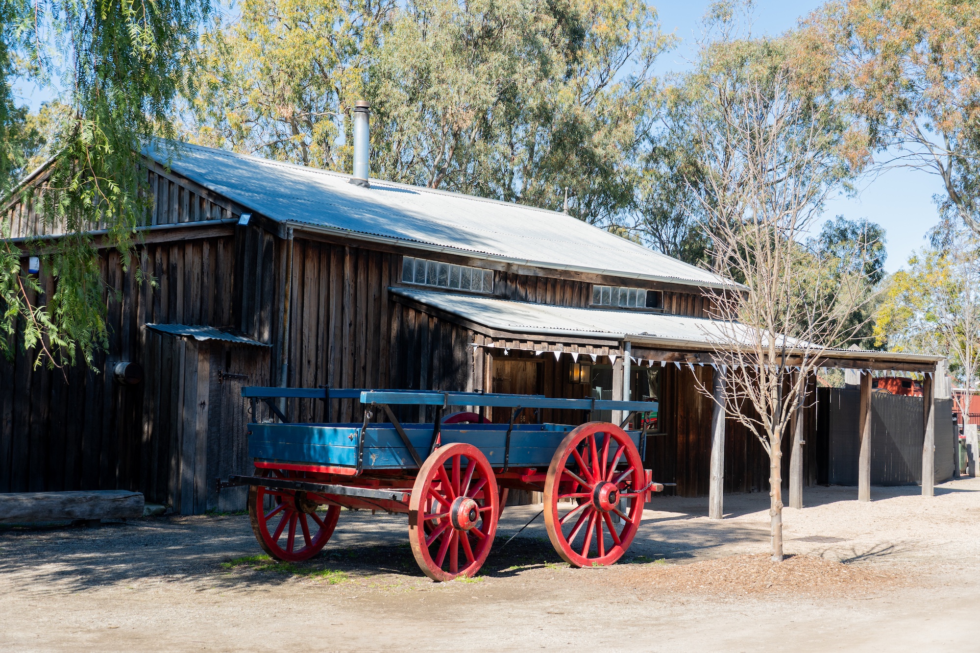 Murray River, Paddle Steamer & Wildlife Experience