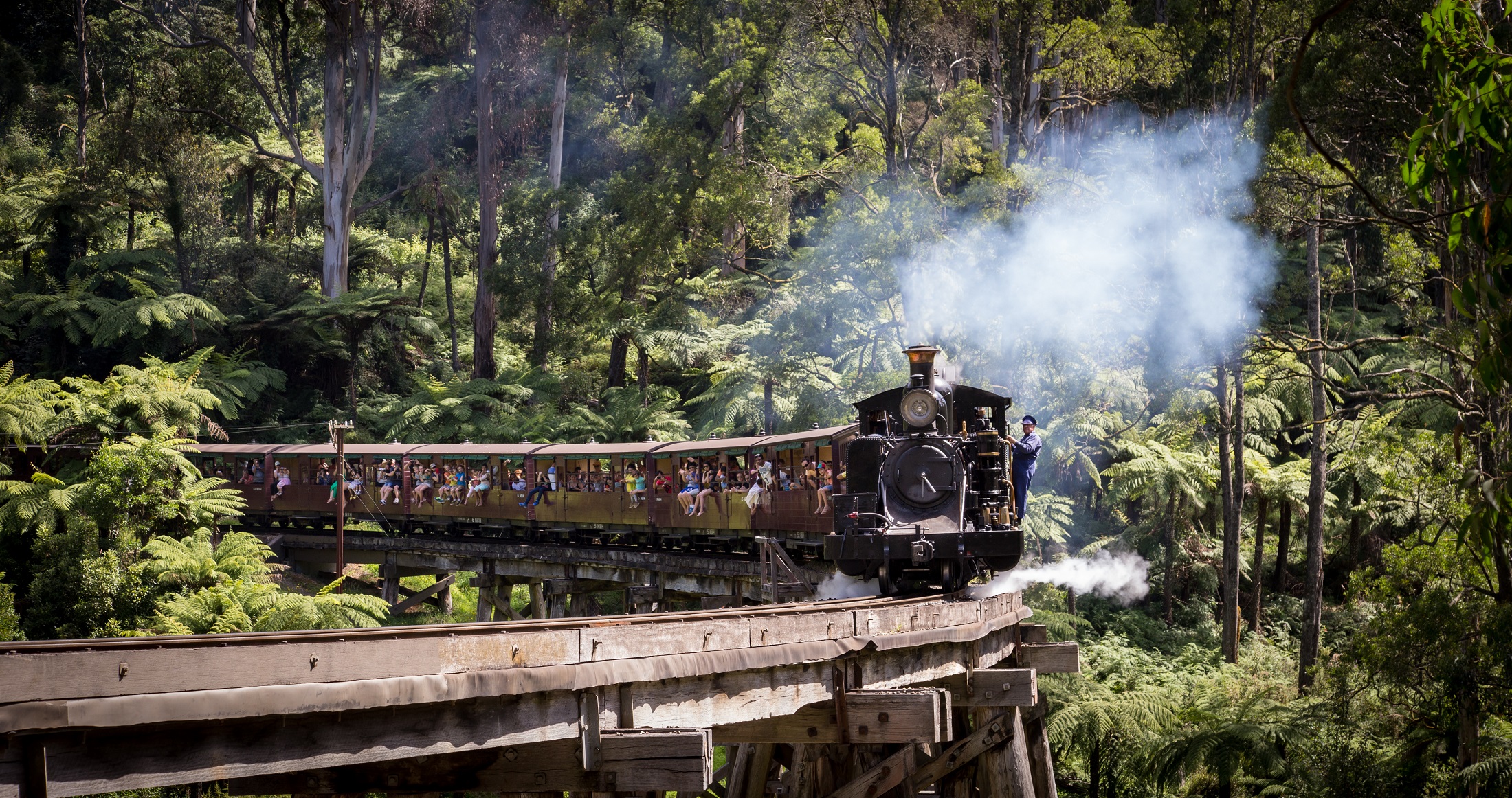 1-Day Puffing Billy and Wildlife Tour