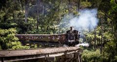 Puffing Billy & Wildlife Tour