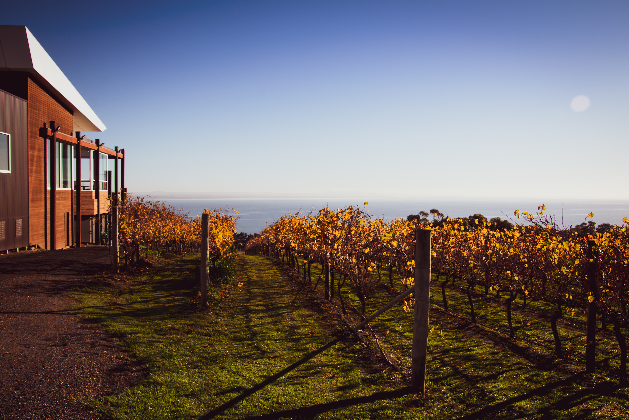 1-Day Bellarine Peninsula Food & Wine Taste Trail Tour