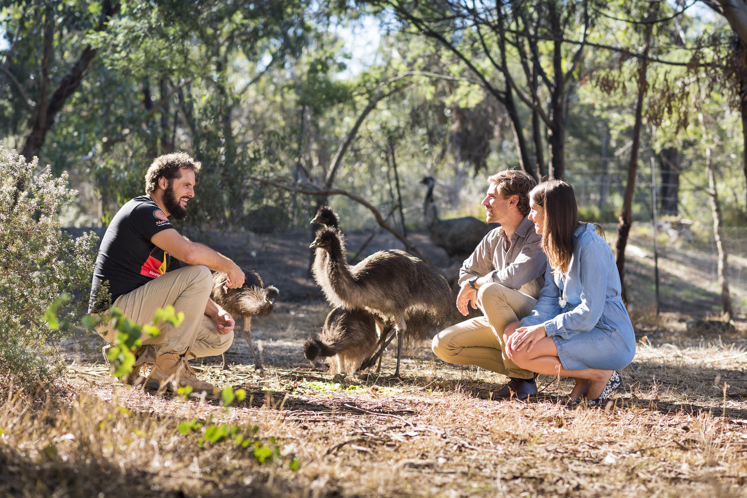 1-Day Bellarine Peninsula Sightseeing & Bay Cruise Tour