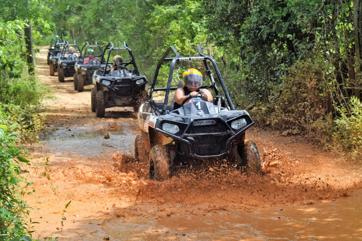 Outback Swamp Safari Adventure from Negril