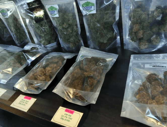 Kingston Cannabis Shopping Tour and Usain Bolt's Tracks & Records from  Kingston