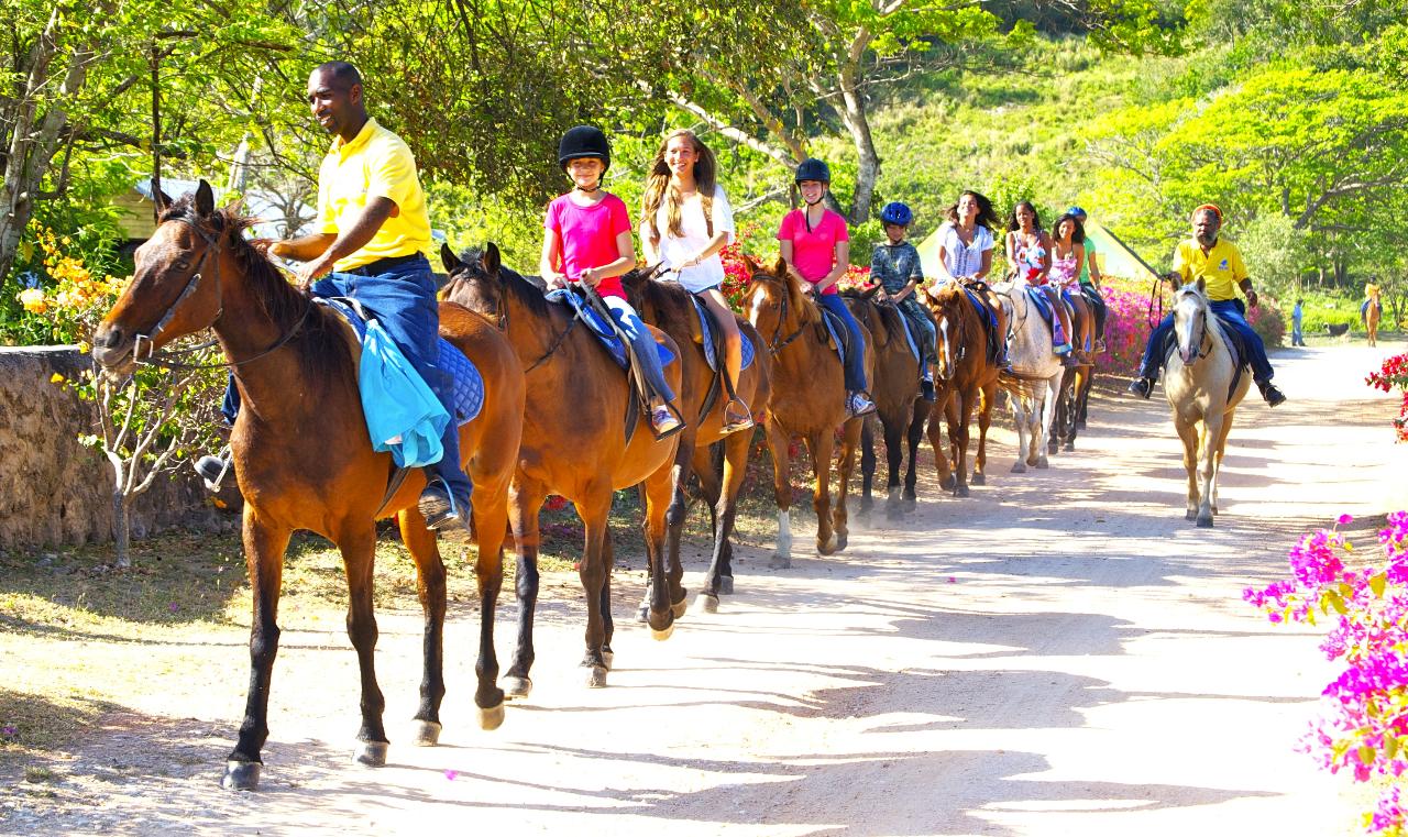 Braco Stables Horseback Ride and Swim Excursion from Ocho Rios