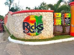 Negril Beach Experience & Rick's Cafe from Montego Bay