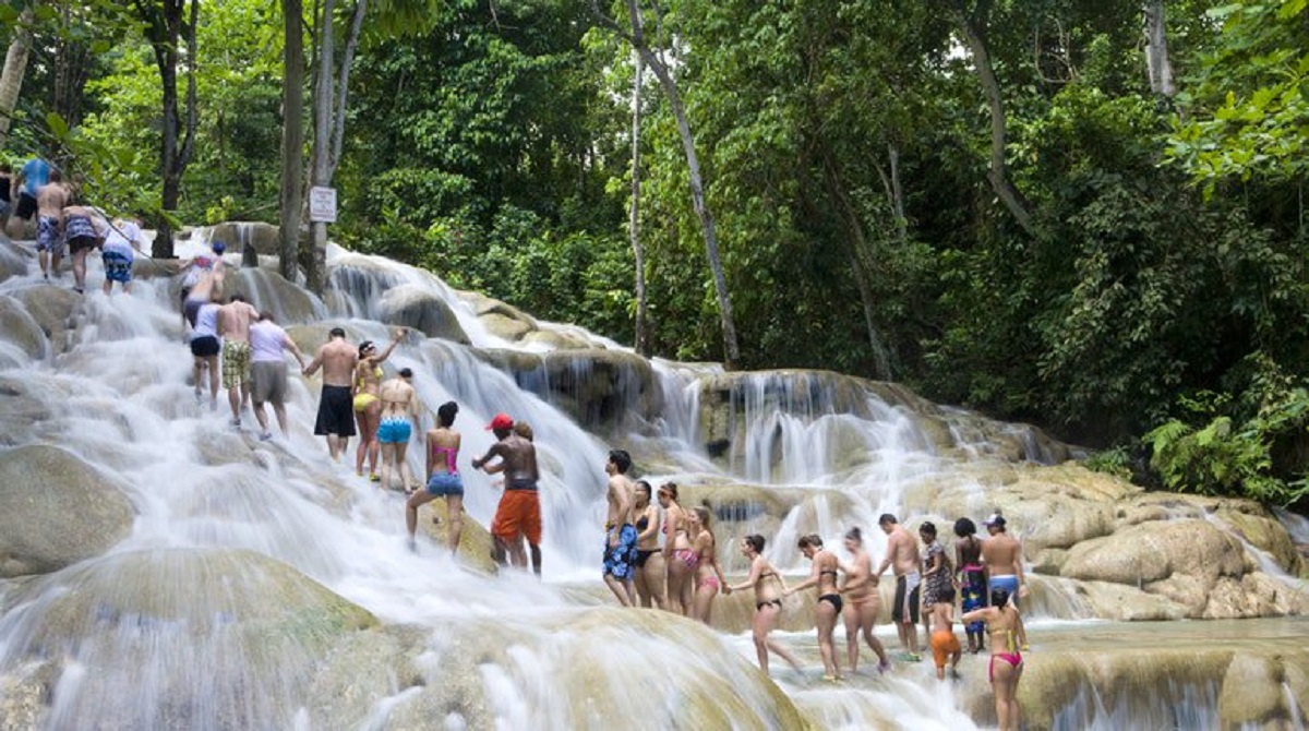 Shared Dunn's River Falls Adventure Tour from Falmouth 