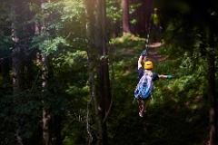 Soar through the treetops on an exhilarating Zip Trip departing from Castries