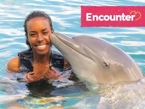 Dolphin Encounter Tour from Kingston