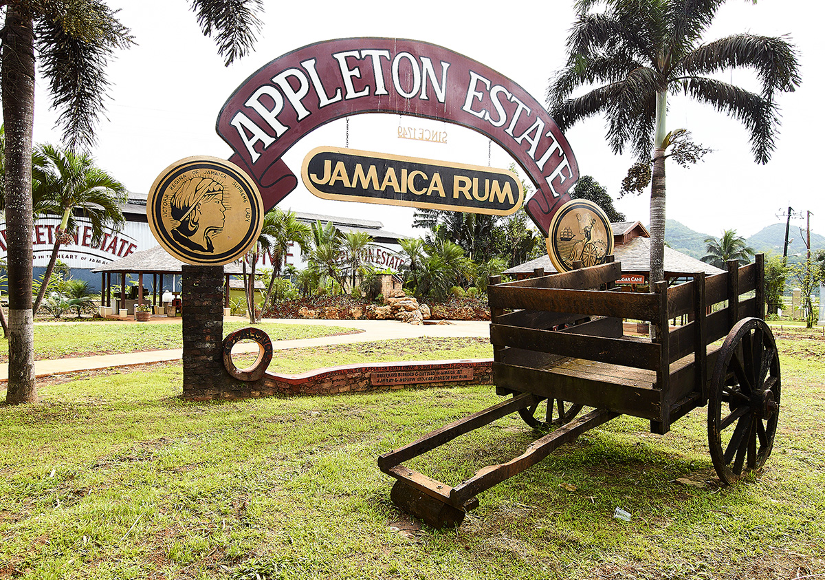 Appleton Estate Rum Tour from Kingston 