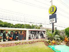Bob Marley Museum Tour from Port Antonio
