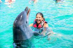 Nassau Dolphin Swim: Dive into Blue Lagoon Bliss!