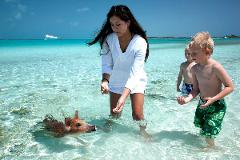  Exumas Pigs Adventure: Dive into Island Bliss!