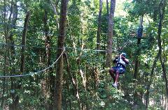 Canopy Zipline & Dunn's River Falls Adventure Tour from Ocho Rios