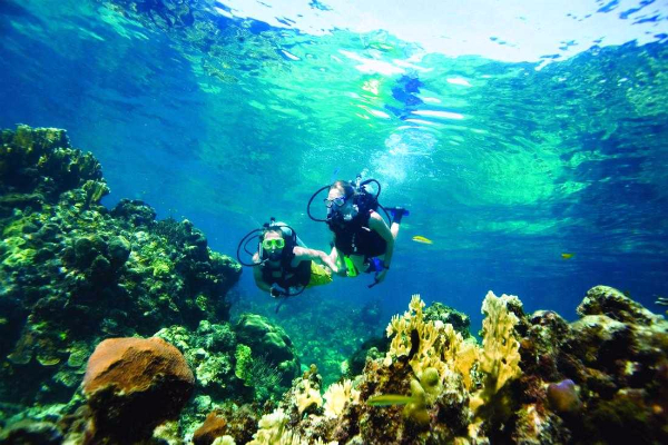 Dive into Punta Cana with Scuba