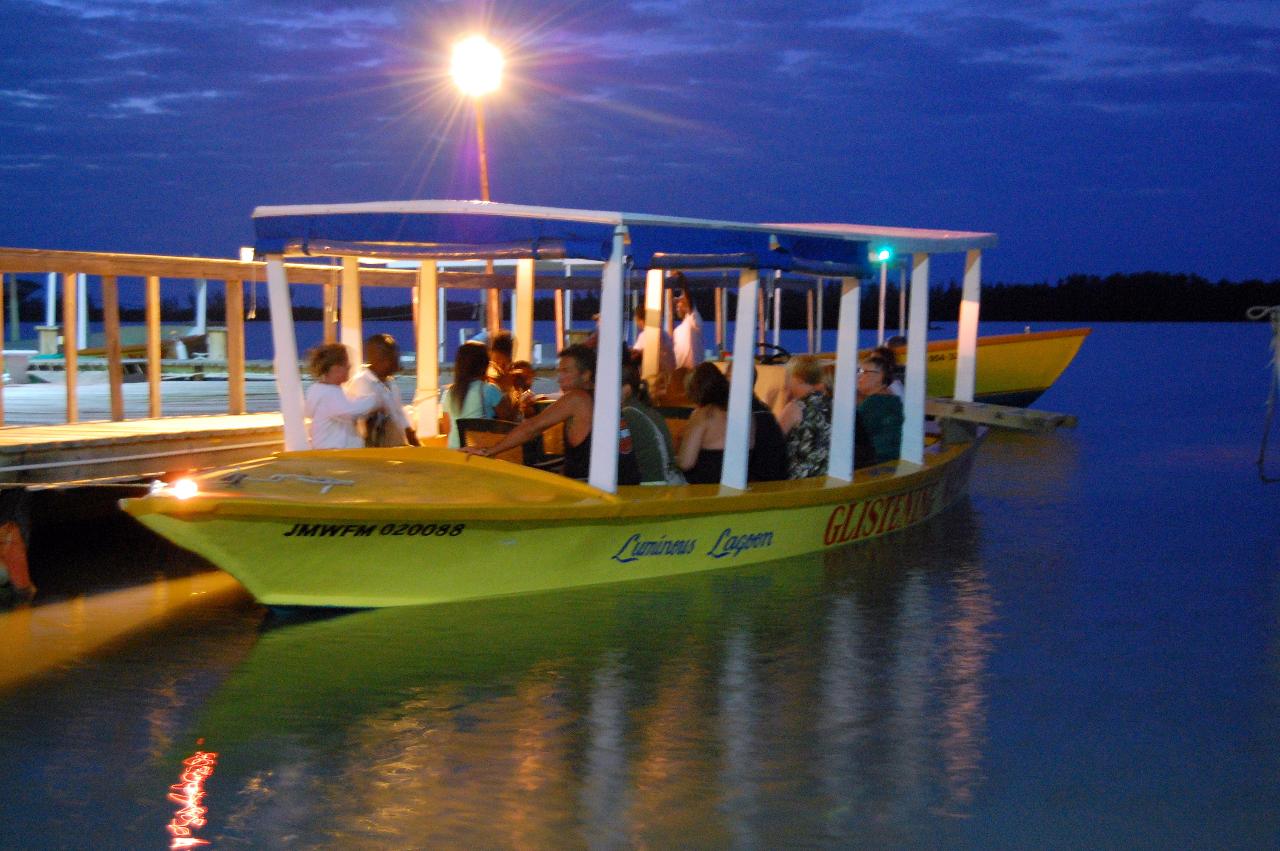 Luminous Lagoon Tour from Falmouth