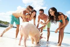 Exumas Private Pigs Adventure: Swim in Paradise!
