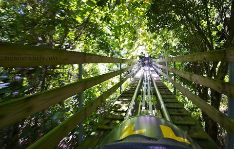 Mystic Mountain Jamaica Bobsled from Kingston