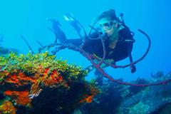 Go Diving on Catalina Island