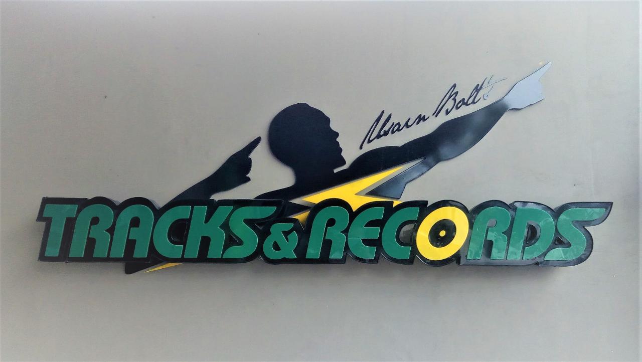 Usain Bolt's Tracks and Records, National Heroes Circle and National Gallery Tour from Ocho Rios