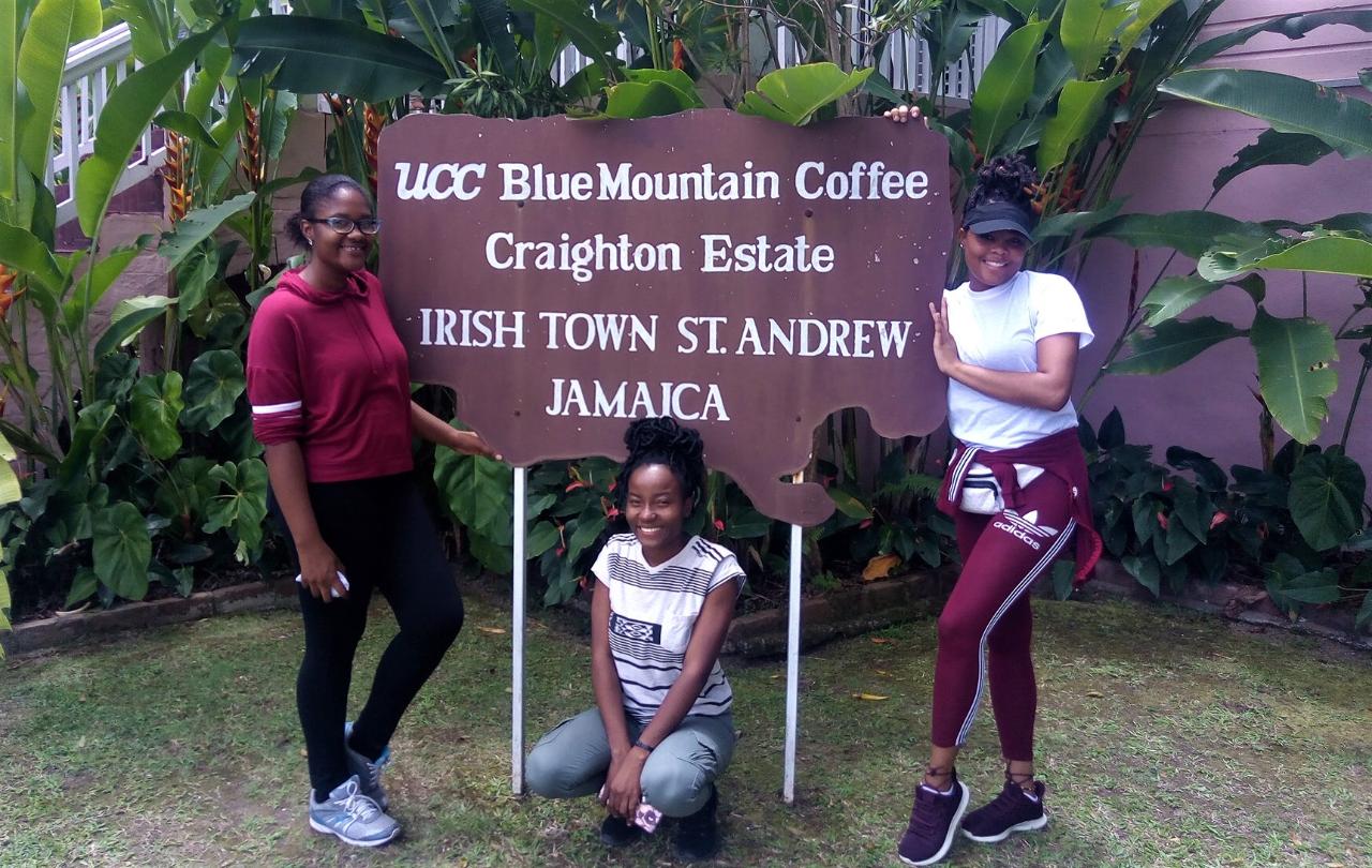 Jamaica's Blue Mountain Hike & Coffee Tour from Kingston