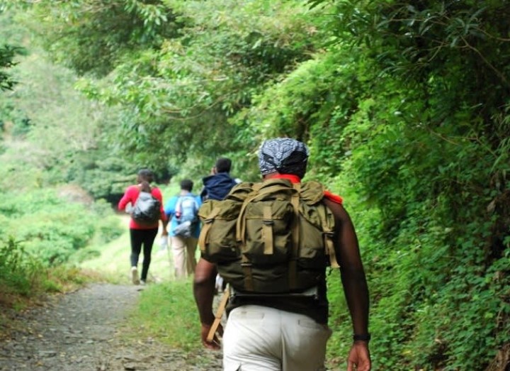 Jamaica's Blue Mountain Hike & Coffee Tour from Kingston