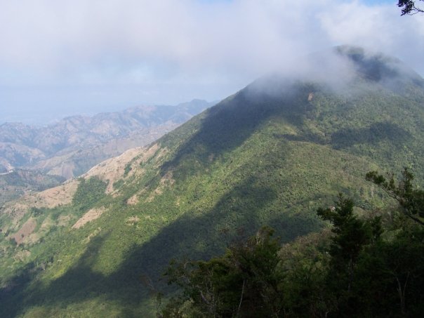 Jamaica's Blue Mountain Hike & Coffee Tour from Ocho Rios