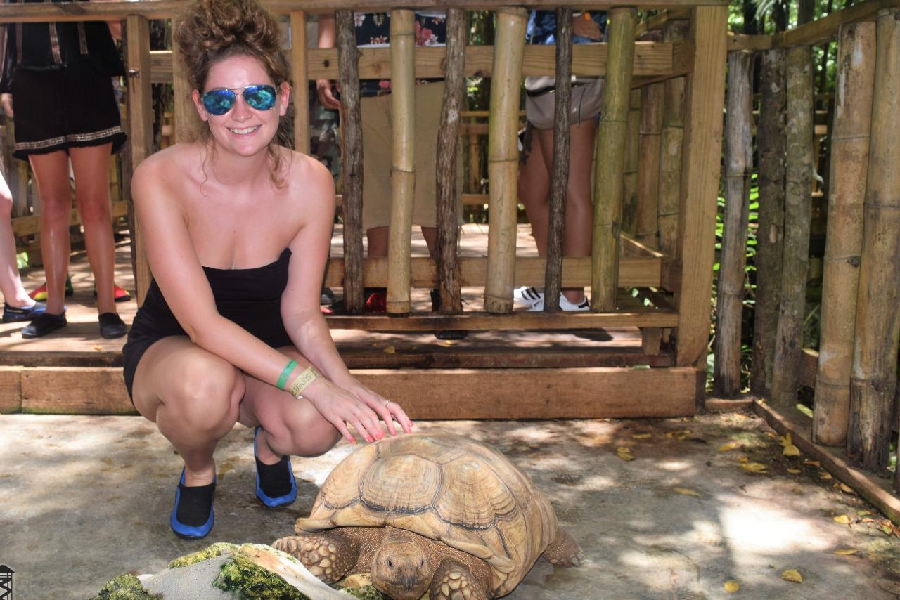 Outback Swamp Safari Adventure from Negril