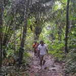 Trinidad Adventure Hikes from Port of Spain