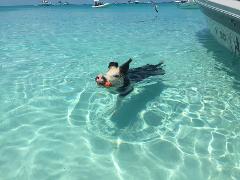 Exuma Escapes Swimming Pigs Tour from Nassau