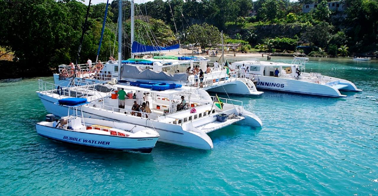 Dunn's River Falls Catamaran Cruise & Snorkeling Tour from Ocho Rios