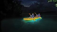 Vieques Bio Bay Kayak Tour from Fajardo, Puerto Rico