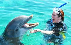 Atlantis Dolphin Deep Water Swim at Dolphin Cay from Nassau