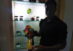 Montego Bay Cannabis Shopping Tour and Usain Bolt's Tracks & Records from Montego Bay