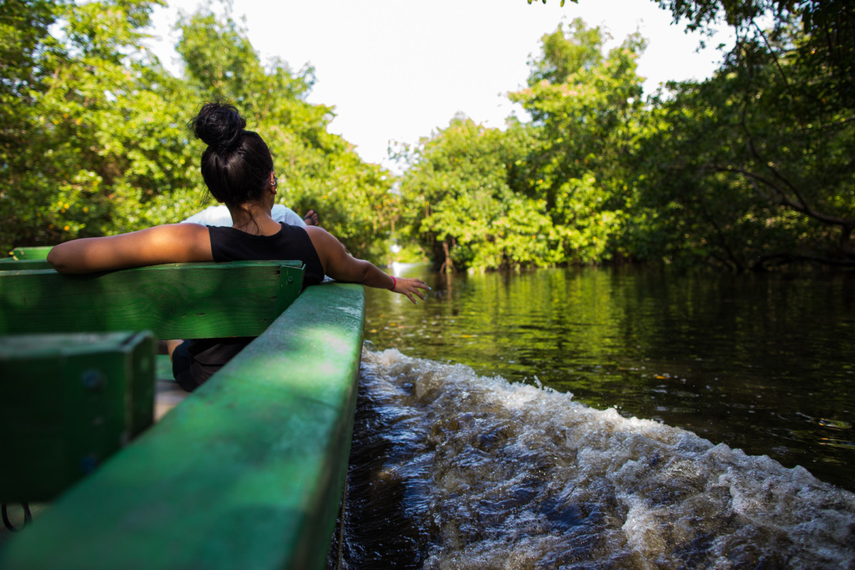 Golden Hour Magic: Tranquil Boat Journey through Enchanting Caroni Wetlands